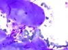 Filename=Muscle,_DQ_hp_SM.jpg
Filesize=526KiB
Dimensions=1050x772
Date added=May 25, 2015 Muscle,_DQ_hp_SM.jpg
