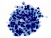 Filename=PDCA-2.jpg
Filesize=80KiB
Dimensions=864x648
Date added=Apr 22, 2010 PDCA-2.jpg