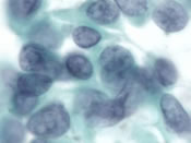 Fig 5