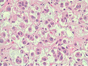 Fig 15