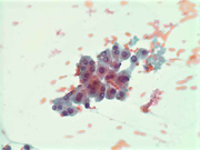 Fig 7