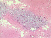 Fig 9